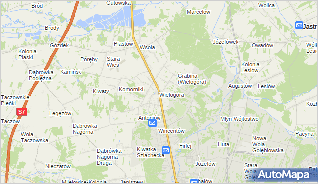mapa Wielogóra gmina Jedlińsk, Wielogóra gmina Jedlińsk na mapie Targeo