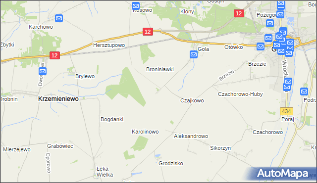 mapa Witoldowo gmina Gostyń, Witoldowo gmina Gostyń na mapie Targeo