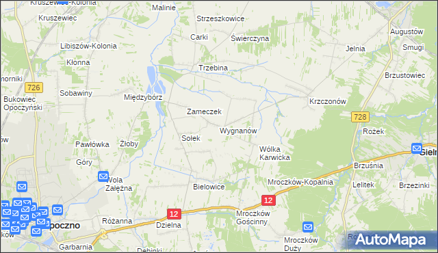 mapa Wygnanów gmina Opoczno, Wygnanów gmina Opoczno na mapie Targeo