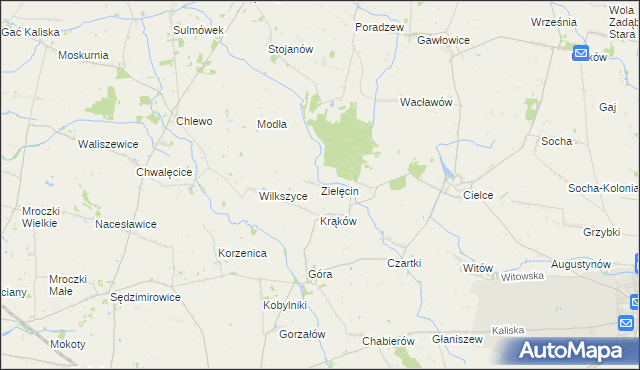 mapa Zielęcin gmina Warta, Zielęcin gmina Warta na mapie Targeo