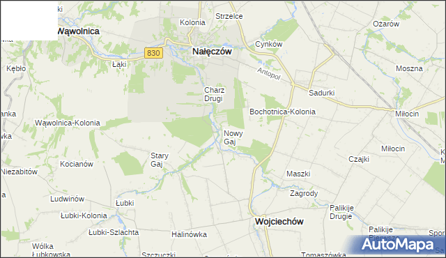 mapa Nowy Gaj gmina Wojciechów, Nowy Gaj gmina Wojciechów na mapie Targeo