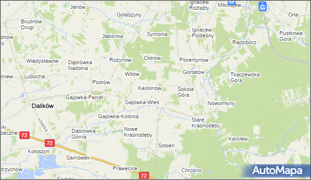 mapa Anastazew gmina Parzęczew, Anastazew gmina Parzęczew na mapie Targeo