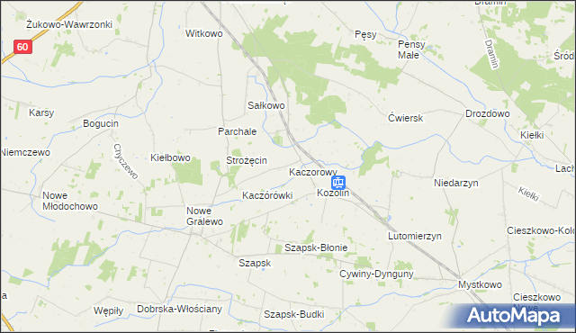 mapa Kaczorowy, Kaczorowy na mapie Targeo