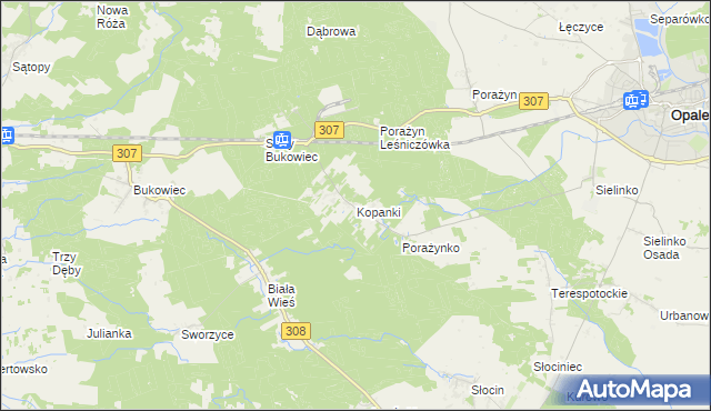 mapa Kopanki gmina Opalenica, Kopanki gmina Opalenica na mapie Targeo