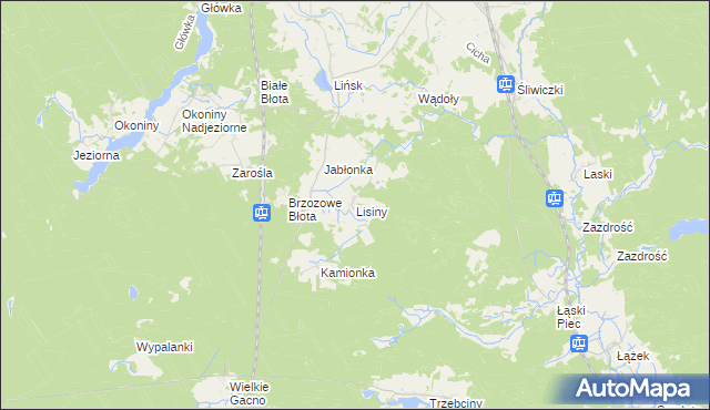 mapa Lisiny gmina Śliwice, Lisiny gmina Śliwice na mapie Targeo