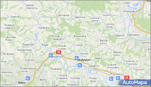 mapa Lisów gmina Skołyszyn, Lisów gmina Skołyszyn na mapie Targeo
