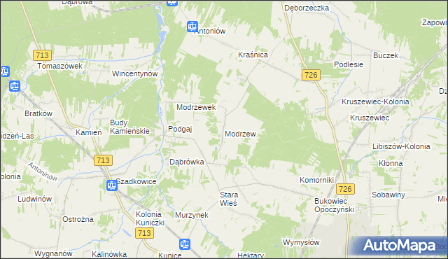 mapa Modrzew gmina Opoczno, Modrzew gmina Opoczno na mapie Targeo