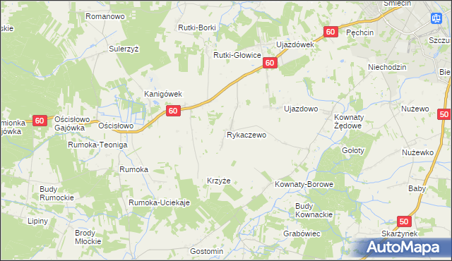 mapa Rykaczewo gmina Ciechanów, Rykaczewo gmina Ciechanów na mapie Targeo