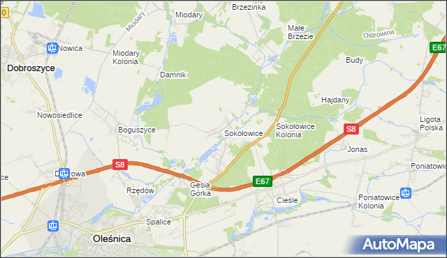 mapa Sokołowice gmina Oleśnica, Sokołowice gmina Oleśnica na mapie Targeo