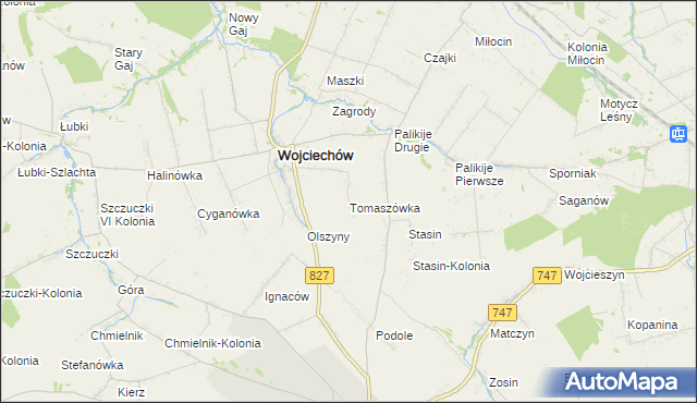 mapa Tomaszówka gmina Wojciechów, Tomaszówka gmina Wojciechów na mapie Targeo
