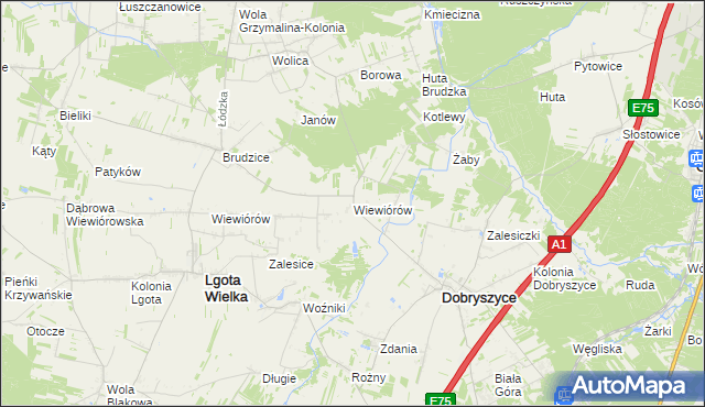 mapa Wiewiórów gmina Dobryszyce, Wiewiórów gmina Dobryszyce na mapie Targeo