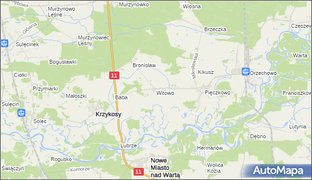 mapa Witowo gmina Krzykosy, Witowo gmina Krzykosy na mapie Targeo