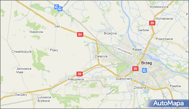 mapa Zielęcice gmina Skarbimierz, Zielęcice gmina Skarbimierz na mapie Targeo