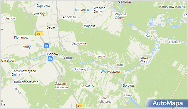 mapa Brzózki gmina Popów, Brzózki gmina Popów na mapie Targeo