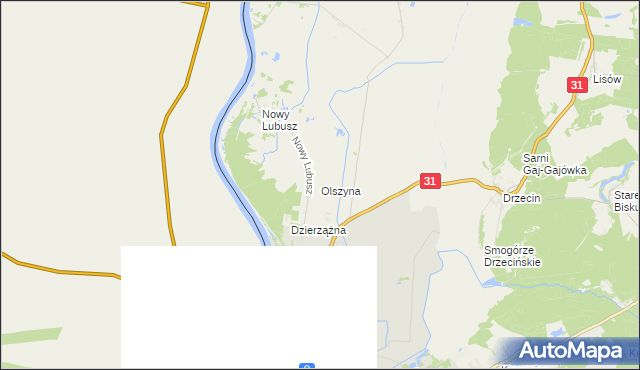 mapa Olszyna gmina Słubice, Olszyna gmina Słubice na mapie Targeo