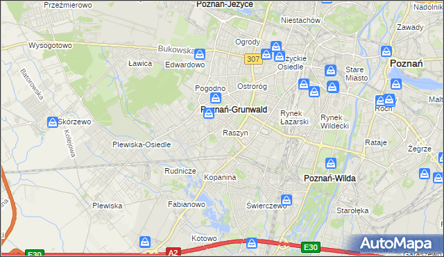 mapa Raszyn gmina Poznań, Raszyn gmina Poznań na mapie Targeo