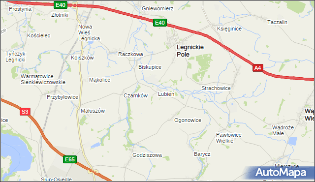 mapa Lubień gmina Legnickie Pole, Lubień gmina Legnickie Pole na mapie Targeo