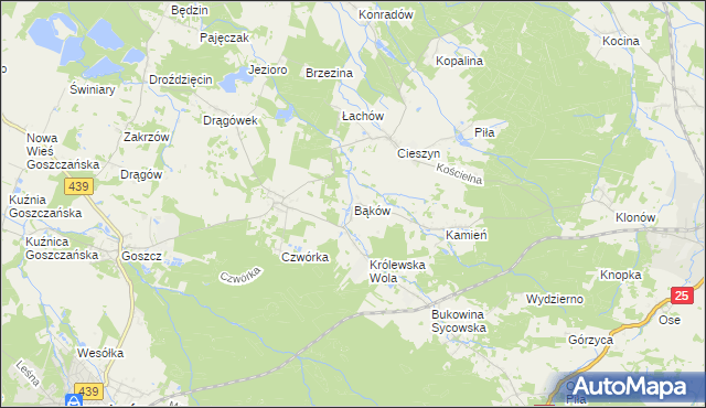 mapa Bąków gmina Międzybórz, Bąków gmina Międzybórz na mapie Targeo