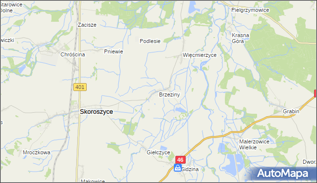 mapa Brzeziny gmina Skoroszyce, Brzeziny gmina Skoroszyce na mapie Targeo