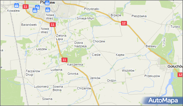 mapa Cieśle gmina Gołuchów, Cieśle gmina Gołuchów na mapie Targeo