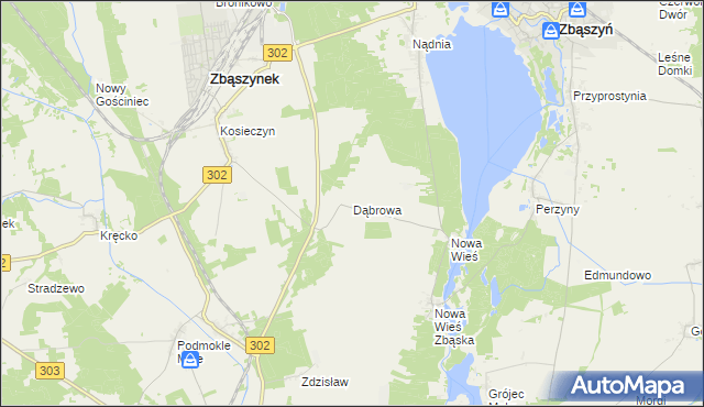 mapa Dąbrowa gmina Zbąszyń, Dąbrowa gmina Zbąszyń na mapie Targeo