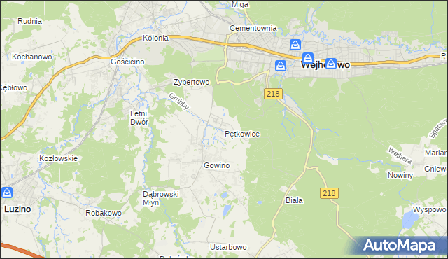 mapa Pętkowice gmina Wejherowo, Pętkowice gmina Wejherowo na mapie Targeo