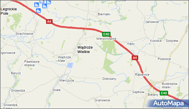 mapa Augustów gmina Wądroże Wielkie, Augustów gmina Wądroże Wielkie na mapie Targeo