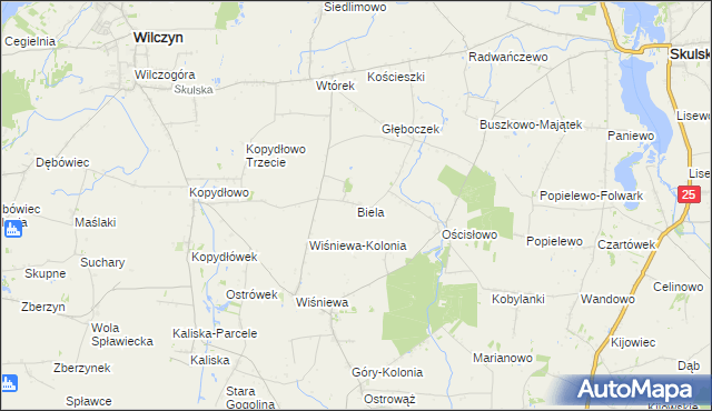 mapa Biela gmina Wilczyn, Biela gmina Wilczyn na mapie Targeo