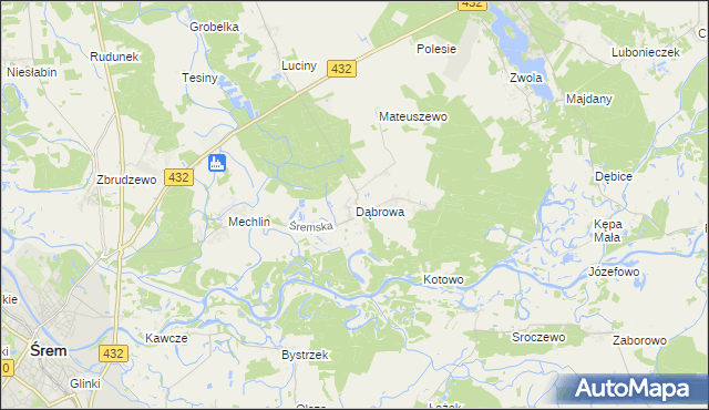 mapa Dąbrowa gmina Śrem, Dąbrowa gmina Śrem na mapie Targeo