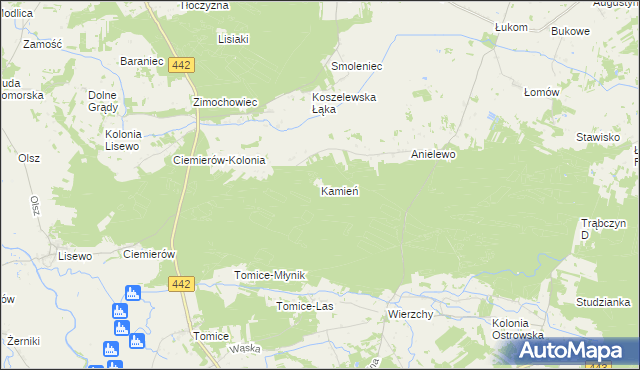 mapa Kamień gmina Pyzdry, Kamień gmina Pyzdry na mapie Targeo