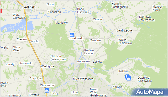 mapa Kolonia Lesiów, Kolonia Lesiów na mapie Targeo