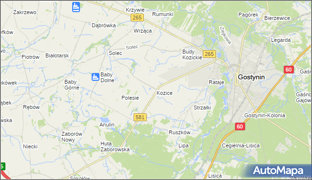 mapa Kozice gmina Gostynin, Kozice gmina Gostynin na mapie Targeo