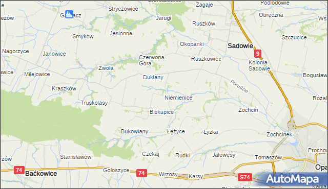 mapa Niemienice gmina Sadowie, Niemienice gmina Sadowie na mapie Targeo