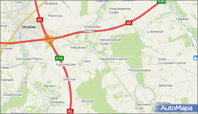 mapa Niesułków-Kolonia, Niesułków-Kolonia na mapie Targeo