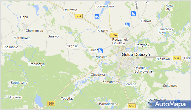mapa Pasieka gmina Golub-Dobrzyń, Pasieka gmina Golub-Dobrzyń na mapie Targeo