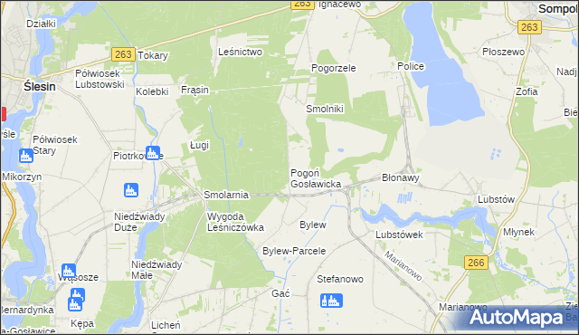mapa Pogoń Gosławicka, Pogoń Gosławicka na mapie Targeo