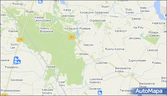 mapa Rysiny gmina Kłodawa, Rysiny gmina Kłodawa na mapie Targeo