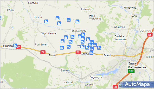 mapa Witoldów gmina Głuchów, Witoldów gmina Głuchów na mapie Targeo