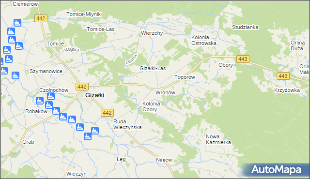 mapa Wronów gmina Gizałki, Wronów gmina Gizałki na mapie Targeo