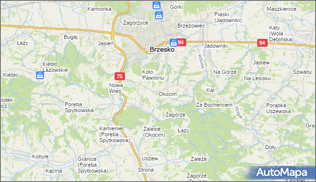 mapa Okocim, Okocim na mapie Targeo