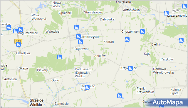 mapa Anielów gmina Sulmierzyce, Anielów gmina Sulmierzyce na mapie Targeo