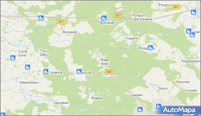mapa Biała Wieś gmina Grodzisk Wielkopolski, Biała Wieś gmina Grodzisk Wielkopolski na mapie Targeo