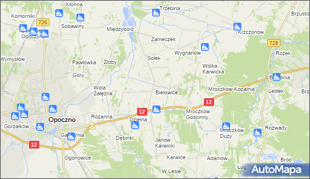 mapa Bielowice gmina Opoczno, Bielowice gmina Opoczno na mapie Targeo
