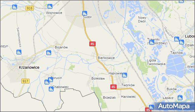mapa Bieńkowice gmina Krzyżanowice, Bieńkowice gmina Krzyżanowice na mapie Targeo