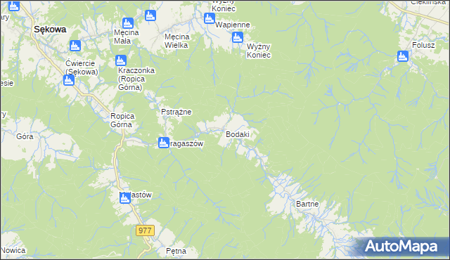 mapa Bodaki gmina Sękowa, Bodaki gmina Sękowa na mapie Targeo