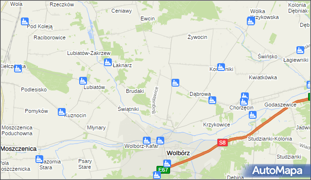 mapa Bogusławice gmina Wolbórz, Bogusławice gmina Wolbórz na mapie Targeo
