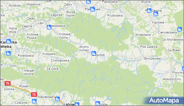 mapa Bogusza, Bogusza na mapie Targeo