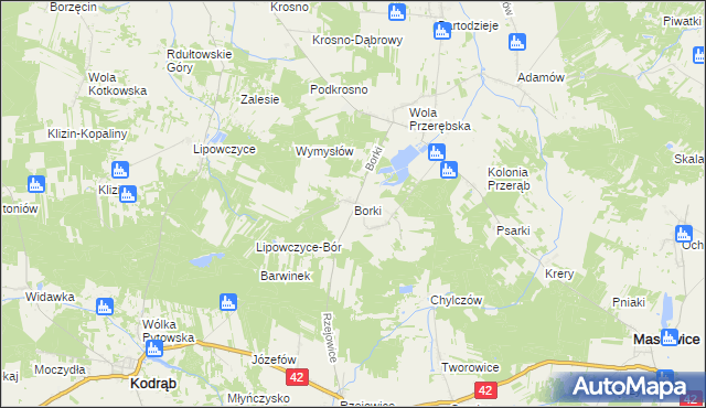 mapa Borki gmina Masłowice, Borki gmina Masłowice na mapie Targeo