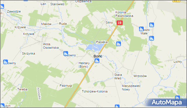 mapa Borki powiat radzyński, Borki powiat radzyński na mapie Targeo