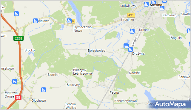 mapa Borkowice gmina Mosina, Borkowice gmina Mosina na mapie Targeo